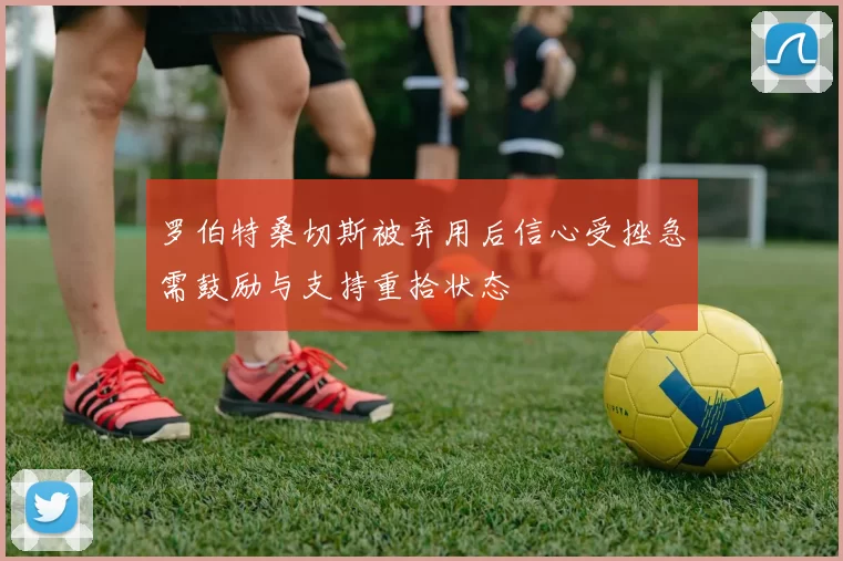 罗伯特桑切斯被弃用后信心受挫急需鼓励与支持重拾状态
